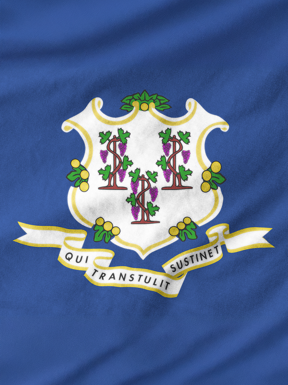 Vernon, Connecticut Web Design