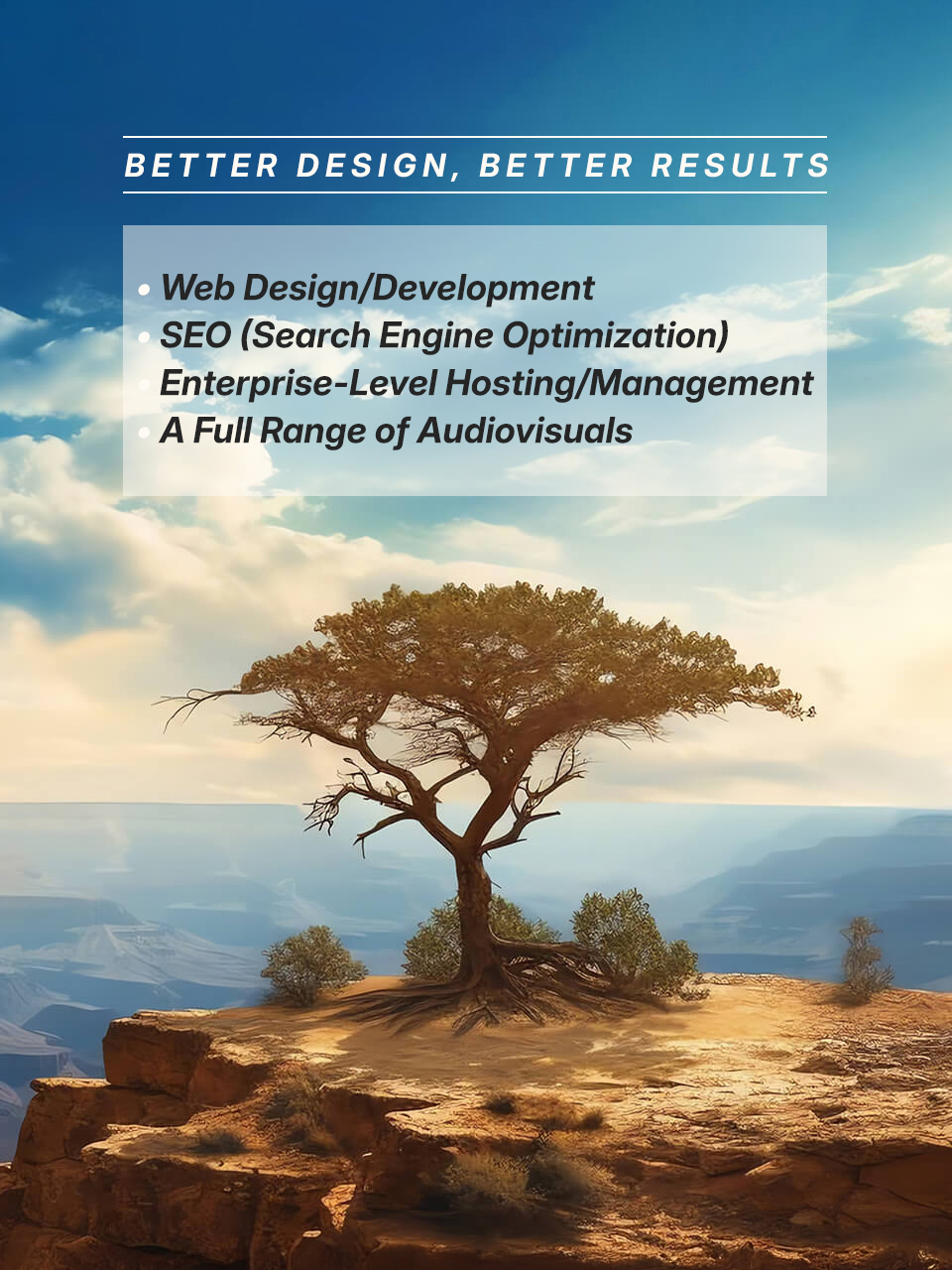 Professional Web Design in Hawkins, Texas