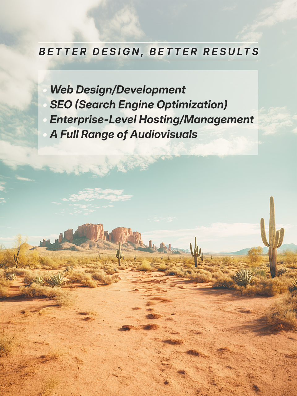 Professional Web Design in Snyder, Texas