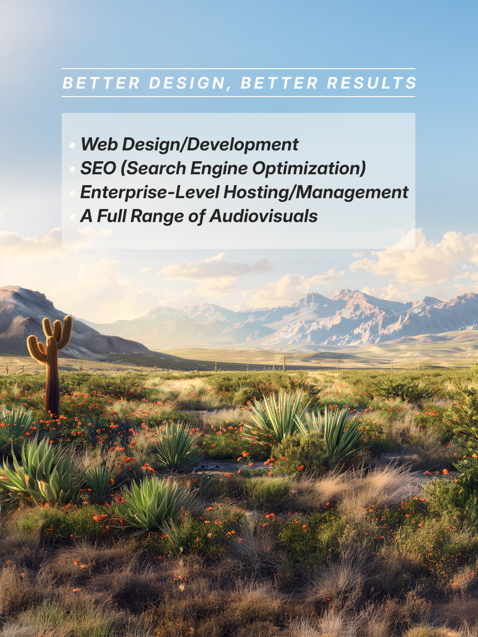 Professional Web Design in Olton, Texas