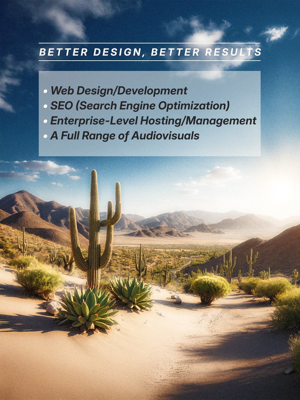 Professional Web Design in D'Hanis, Texas