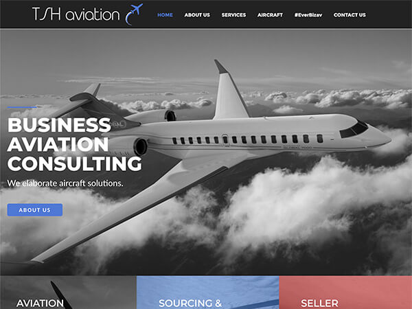 TSH aviation - Aircraft Brokerage Websites